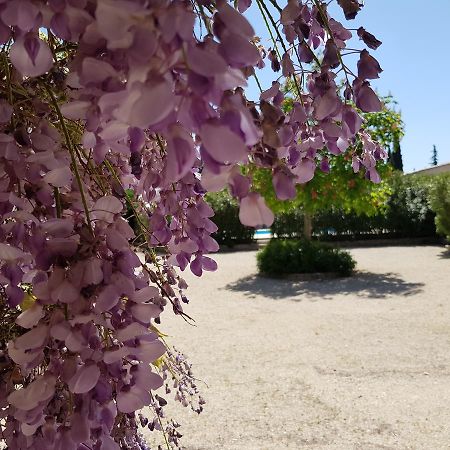La Pastorale Bed & Breakfast Lagnes Екстериор снимка