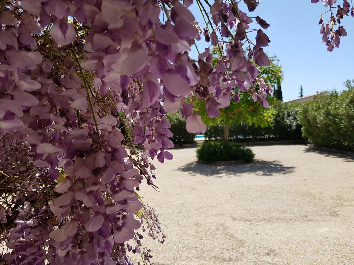 La Pastorale Bed & Breakfast Lagnes Екстериор снимка