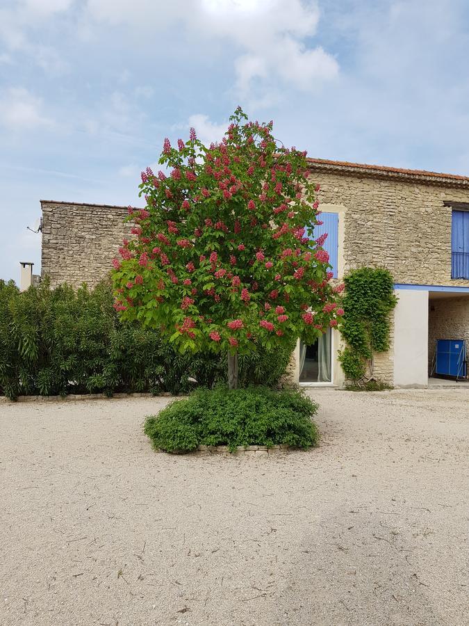 La Pastorale Bed & Breakfast Lagnes Екстериор снимка